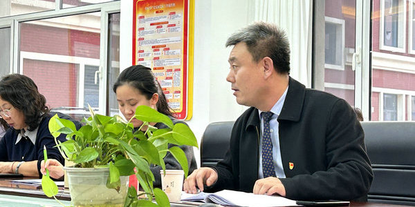 抓好基層黨建，小倫敦黨支部這樣做！